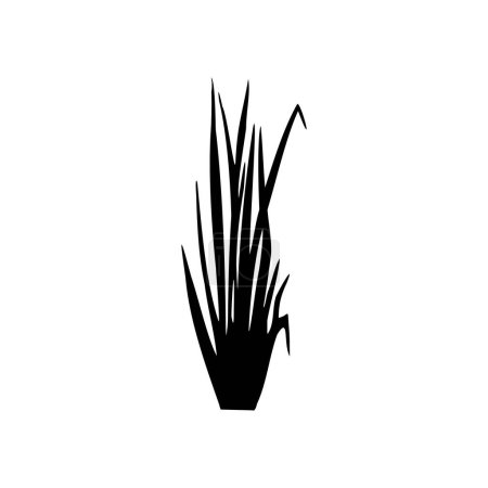 Black grass graphic silhouette.Image of a monochrome reed,grass or bulrush on a white background.Isolated vector drawing.