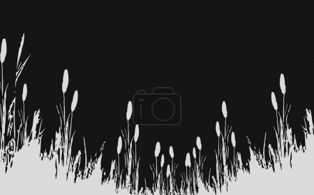 Silueta gráfica de hierba negra.Imagen de una caña monocromática, hierba o junco sobre un fondo blanco.Dibujo vectorial aislado.