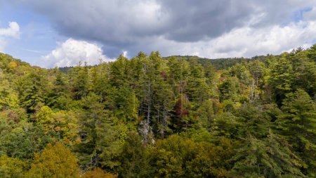 Téléchargez les photos : Vue aérienne des feuilles changeantes en automne près du comté d'Avery, en Caroline du Nord. - en image libre de droit
