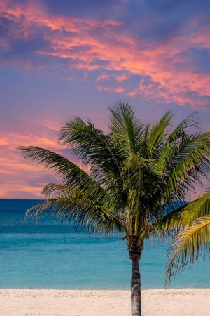 Téléchargez les photos : Sérénité embrassée par le soleil : les vacanciers profitent du soleil chaud des Caraïbes pour se détendre sur les plages immaculées de Great Stirrup Cay - en image libre de droit