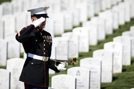 Téléchargez les photos : Un moment poignant se déroule alors qu'un Marine joue aux écoutes, honorant un ancien combattant déchu d'un salut solennel, marquant son internement dans un cimetière militaire national. - en image libre de droit