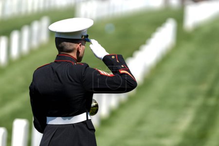 Téléchargez les photos : Un moment poignant se déroule alors qu'un Marine joue aux écoutes, honorant un ancien combattant déchu d'un salut solennel, marquant son internement dans un cimetière militaire national. - en image libre de droit