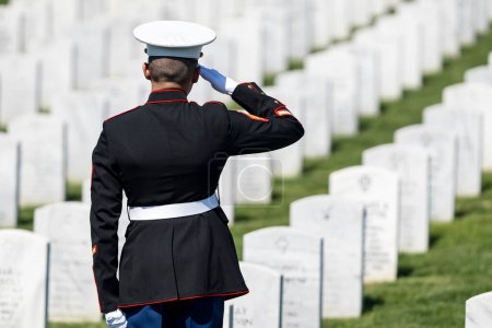 Foto de Un momento conmovedor se desarrolla mientras un marine toca grifos, honrando a un veterano caído con un saludo solemne, marcando su internamiento en un cementerio militar nacional. - Imagen libre de derechos