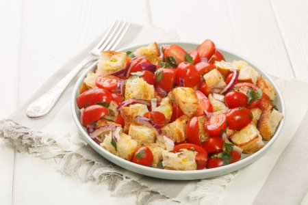 Photo for Vegetarian salad of cherry tomatoes, stale bread, onion, olive oil and tomato juice close-up in a plate on the table. Horizonta - Royalty Free Image