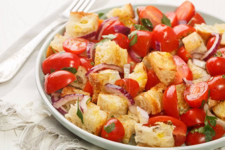Photo for Acquasala bread salad consists of fresh ripe tomatoes and stale bread that are soaked in olive oil, tomato juices, and often vinegar closeup on the plate on the table. Horizonta - Royalty Free Image