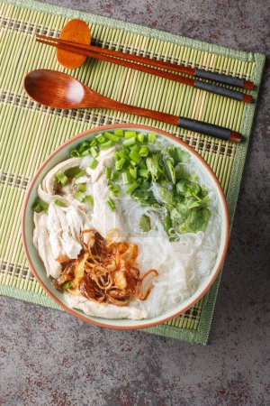 Foto de Sopa de fideos de pollo asiático con cebolla frita, cebolla verde y cilantro de cerca en un tazón sobre la mesa. Vista superior vertical desde arriba - Imagen libre de derechos