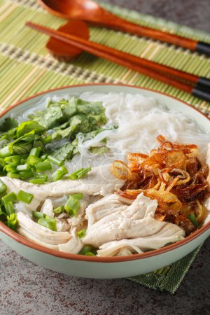 Photo for Vietnamese Chicken Soup with Glass Noodles Mien Ga closeup on the bowl on the table. Vertica - Royalty Free Image
