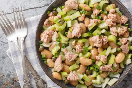 Salade vitaminée de thon en conserve, haricots au beurre, céleri frais, oignons verts et câpres dans une assiette sur la table. Vue de dessus horizontale d'en haut