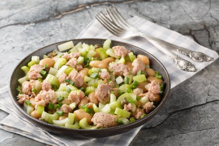 Salade vitaminée de thon en conserve, haricots au beurre, céleri frais, oignons verts et câpres dans une assiette sur la table. Horizonta