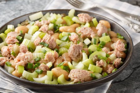Salade de thon en conserve avec haricots beurre, céleri, oignons verts et câpres dans une assiette sur la table. Horizonta
