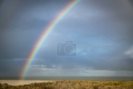 Photo for Rainbow over the beach of the island texel in the netherlands - Royalty Free Image