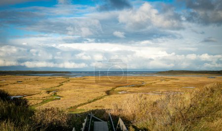 Photo for Dune valley the Slufter of national park on West Frisian Waddensea island Texel, North Holland, Netherlands - Royalty Free Image