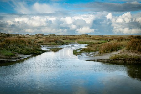 Photo for Dune valley the Slufter of national park on West Frisian Waddensea island Texel, North Holland, Netherlands with dunes and water ponds - Royalty Free Image