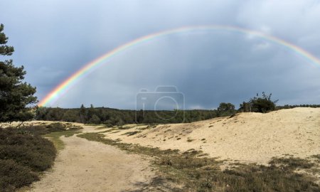 Foto de Un sendero a lo largo de las dunas de arena en la deriva de arena cerca de Bakkeveen en Frisia en los Países Bajos con un rianbow y con grandes árboles en las colinas de arena y un bosque en el fondo - Imagen libre de derechos