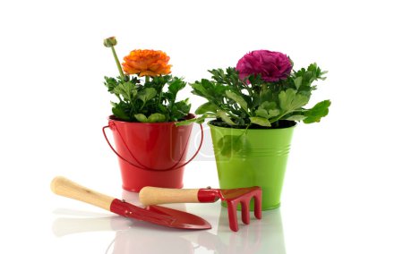 Photo for Red and green bucket with spring flowers and gardening tools - Royalty Free Image