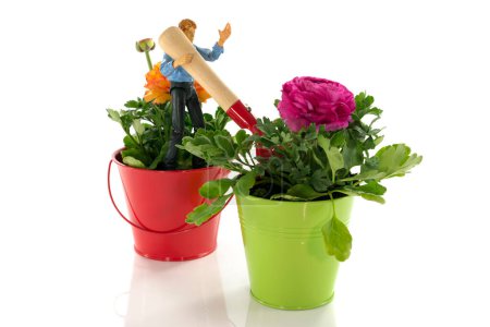 Photo for Red and green bucket with spring flowers and gardening tools - Royalty Free Image