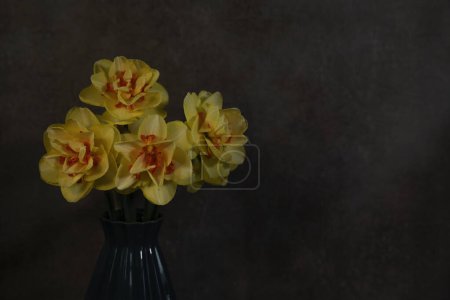 Photo for A still life with a blue vase with yellow daffodils with an orange heart on a dark background - Royalty Free Image