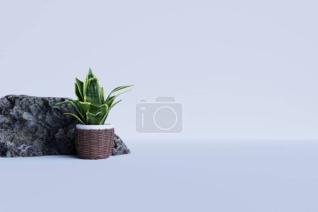 Foto de 3 d representó la ilustración de plantas suculentas en un jarrón y la escena del lugar vacío para la exhibición del producto - Imagen libre de derechos
