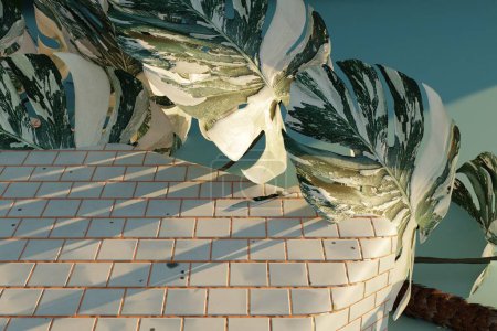 Téléchargez les photos : Feuilles de palmier sur un fond de béton blanc. palmiers et ombres. fond abstrait pour la scène pour l'affichage du produit - en image libre de droit