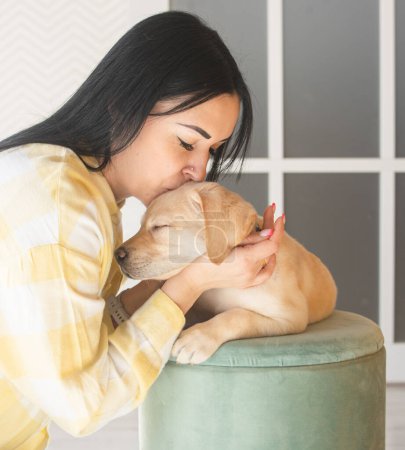 Téléchargez les photos : Petit chiot du Labrador sur un pouf vert avec son propriétaire. Tourné sur un fond clair - en image libre de droit