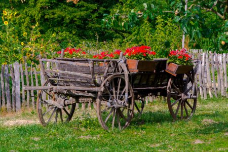 Téléchargez les photos : Char en bois avec fleurs dans un jardin botanique - en image libre de droit