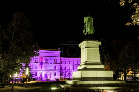 Photo for The University of Szeged in the evening on World Prematurity Day 2022 - Royalty Free Image