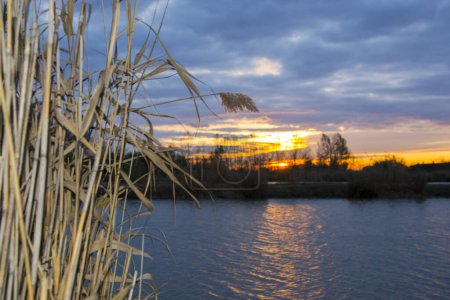 Téléchargez les photos : Lac et coucher de soleil à Kiszombor, dans le sud de la Hongrie - en image libre de droit