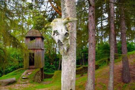 Photo for Celtic wooden tower and bull skull near Liptovska Mara in Archaeological museum Havranok in Slovakia - Royalty Free Image