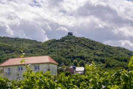 Téléchargez les photos : Mont de Somlo et les ruines du château en Hongrie en été - en image libre de droit