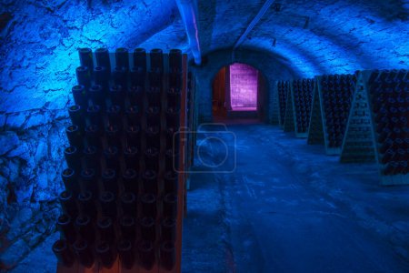 Téléchargez les photos : Cave à vin sous le Palais Esterhazy à Eisenstadt ou Kismarton en Autriche - en image libre de droit