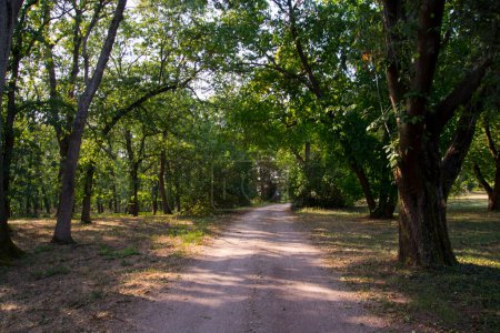 Park der Karolyi-Kaste in Nagymagocs in Ungarn