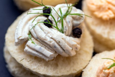 Téléchargez les photos : Gros plan de délicieux canapés au fromage et à la mousse de saumon, amuse-gueule européen - en image libre de droit