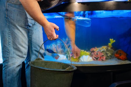 Aquarium cleaning, maintenance. Aquarist cleans the aquarium. 