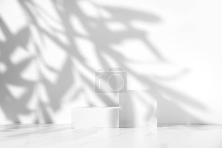 Minimal white scene for cosmetic product presentation made with empty white podiums on white background with leaves shadow. 