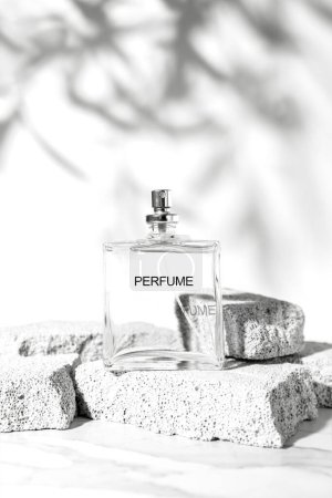Photo for Perfume bottle standing on pumice stones with leaves shadow. Summer fragrance concept. Vertical photography. - Royalty Free Image