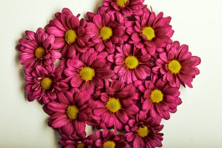 Foto de Set of Pink Flowers Heads Isolated, Flat Lay, Close-up, Top View. Pink Purple Blooming Flowers. Aroma, Flora, Herbal Concept - Imagen libre de derechos