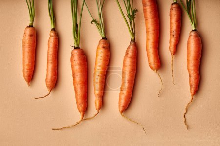 Téléchargez les photos : Isolated carrot. set of fresh carrots with green stem isolated on pastel orange background. top view, flat lat, copy space - en image libre de droit