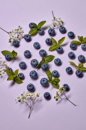 Photo for Ripe blueberry with green leaf and flowers. Organic fresh blueberry isolated on purple background. top view, flat lay - Royalty Free Image