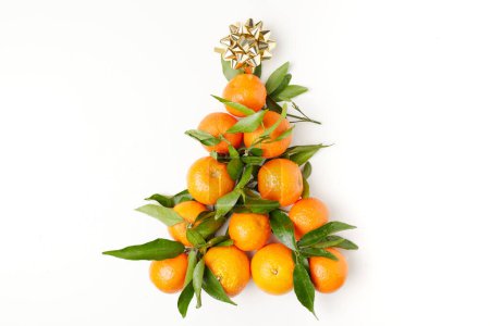 Photo for Winter flat lay with christmas tree shape tangerines. - Royalty Free Image