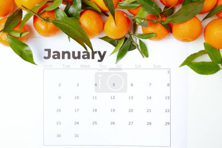 Téléchargez les photos : Plat d'hiver avec mandarines et calendrier de janvier. - en image libre de droit