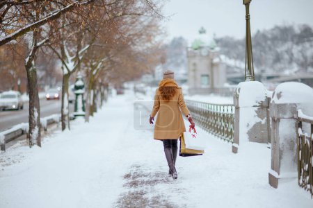 Foto de Visto desde atrás mujer de mediana edad en sombrero marrón y bufanda en abrigo de camello con bolsas de compras afuera en la ciudad en invierno. - Imagen libre de derechos