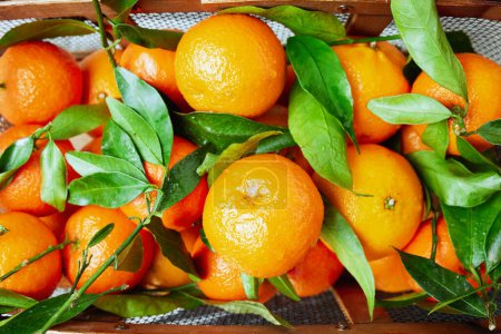 Photo for Winter flat lay with tangerines in basket. - Royalty Free Image
