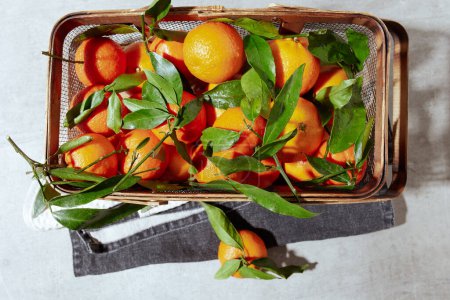 Téléchargez les photos : Plat d'hiver posé avec des mandarines dans le panier. - en image libre de droit