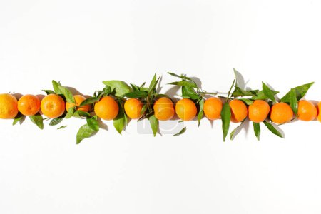 Photo for Winter flat lay with tangerines. - Royalty Free Image