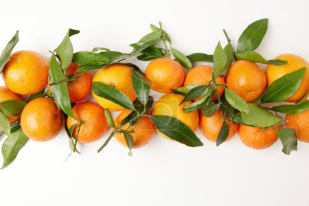 Téléchargez les photos : Plat d'hiver posé avec des mandarines. - en image libre de droit
