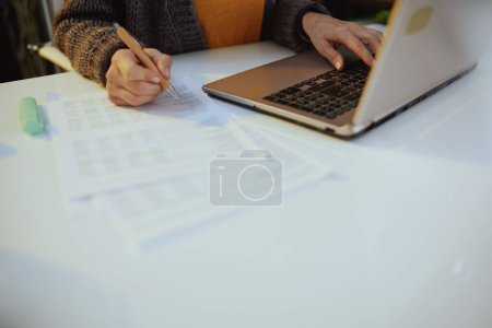 Photo for Business woman with documents and laptop working. - Royalty Free Image