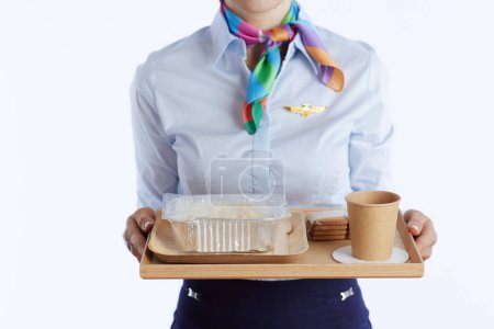 Téléchargez les photos : Gros plan sur hôtesse de l'air féminine moderne isolée sur fond blanc en uniforme avec un plateau de nourriture. - en image libre de droit