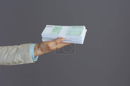 Téléchargez les photos : Gros plan sur femme d'affaires avec euros paquets d'argent isolé sur gris. - en image libre de droit