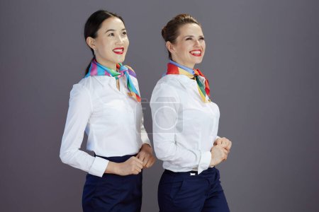 Photo for Happy elegant female flight attendants in blue skirt, white shirt and scarf looking into the distance isolated on grey background. - Royalty Free Image