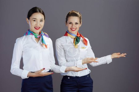 Photo for Smiling elegant female stewardesses in blue skirt, white shirt and scarf welcoming isolated on grey background. - Royalty Free Image